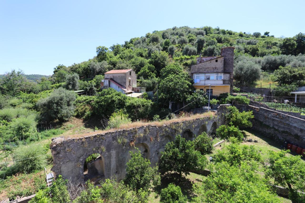 Bed and Breakfast Bianco Latte Gragnano Exterior foto